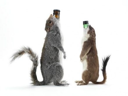 Two dead, stuffed squirrels with the caps of beer bottles coming out of their mouths.